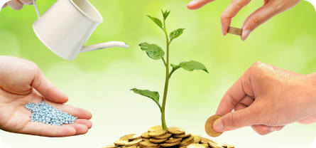investment-1
