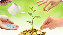 Wealth creation